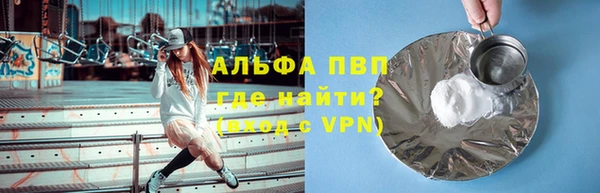ПСИЛОЦИБИНОВЫЕ ГРИБЫ Инта