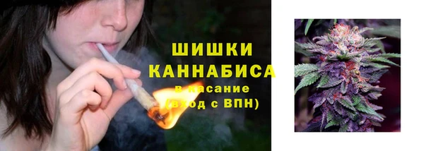 ПСИЛОЦИБИНОВЫЕ ГРИБЫ Инта