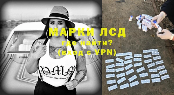 ПСИЛОЦИБИНОВЫЕ ГРИБЫ Инта