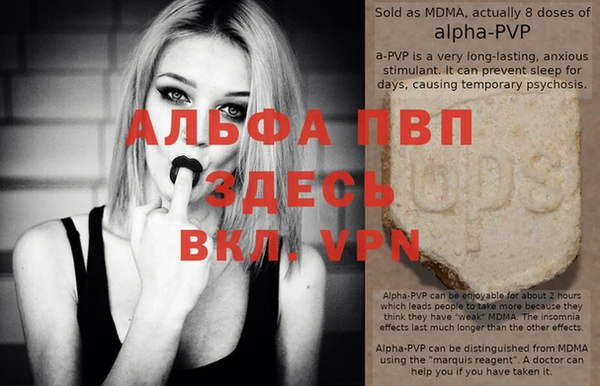 ПСИЛОЦИБИНОВЫЕ ГРИБЫ Инта