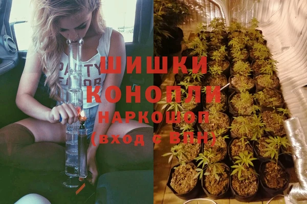 ПСИЛОЦИБИНОВЫЕ ГРИБЫ Инта
