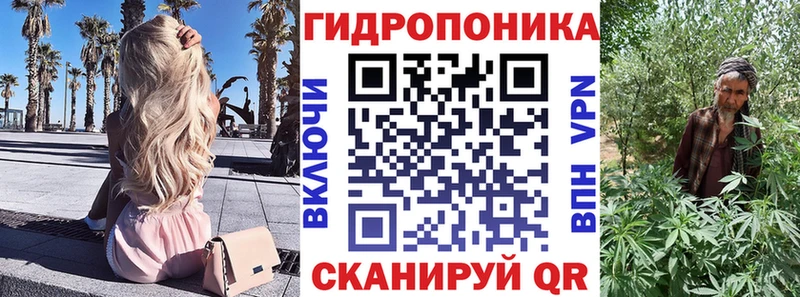 где найти наркотики  Касимов  Конопля планчик 